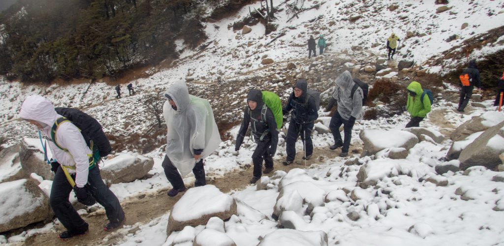 Trekking in snow